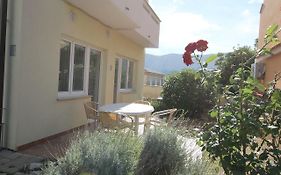 Apartments Brnic
